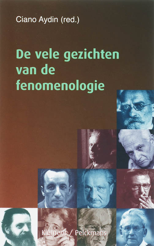 De vele gezichten van de fenomenologie