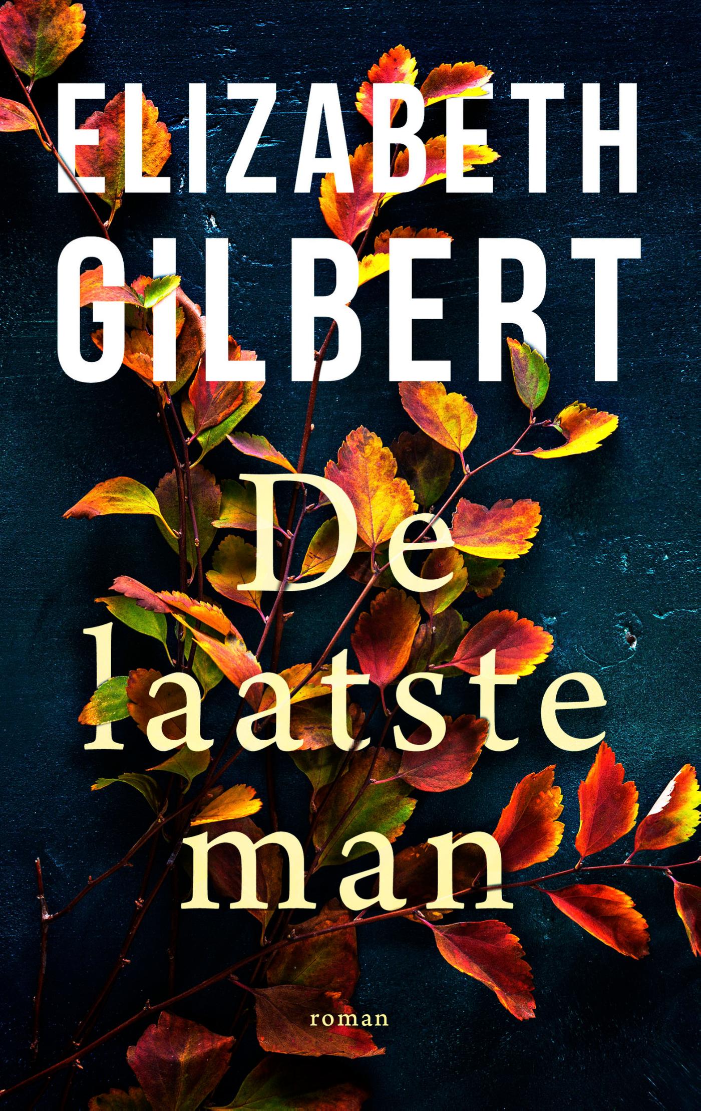 boekenbalie_9789403188119_cover De laatste man