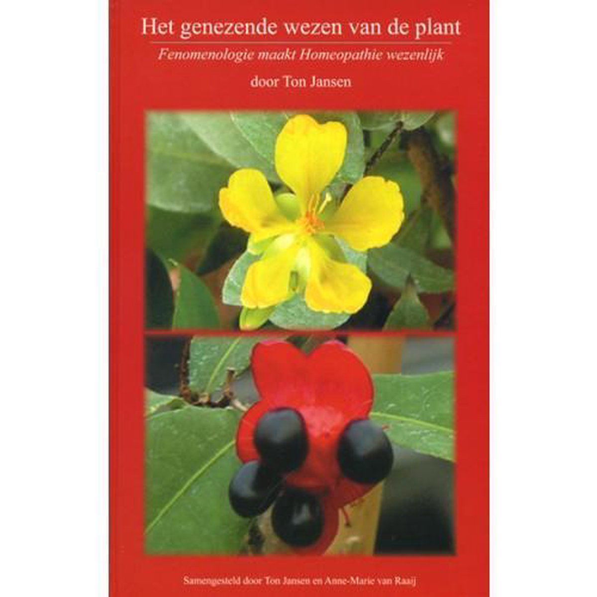 boekenbalie_9789080810518_cover Het genezend wezen van de plant