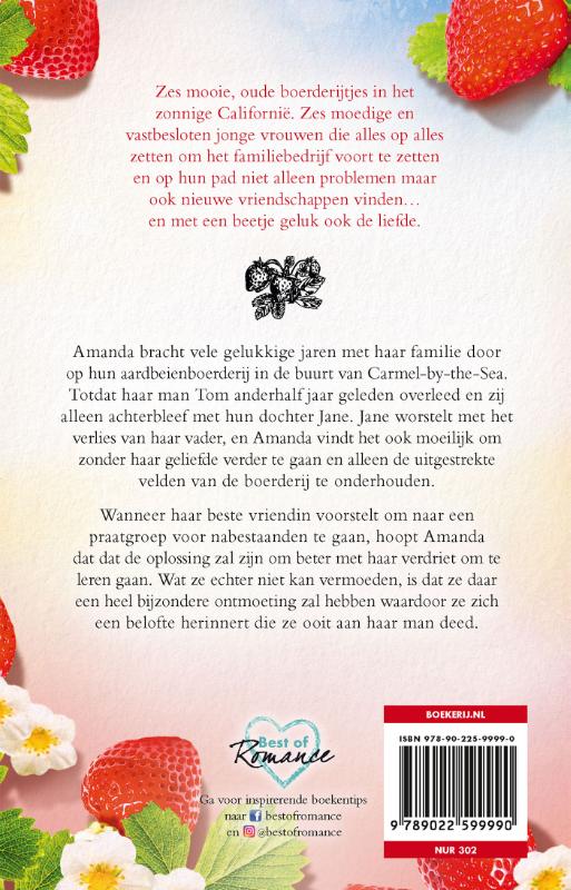 Mooie jaren in de aardbeientuin / Kustdromen / 4 achterkant