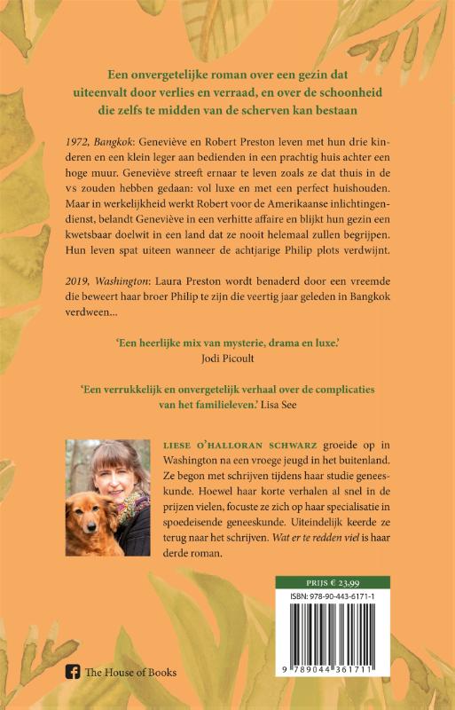 Wat er te redden viel achterkant