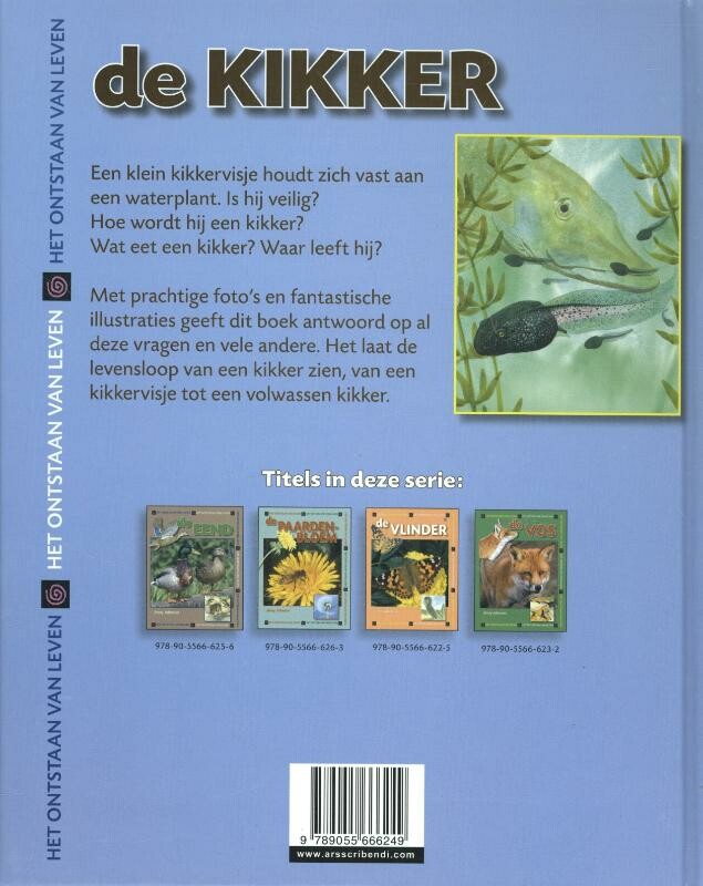Kikker / Het ontstaan van leven achterkant