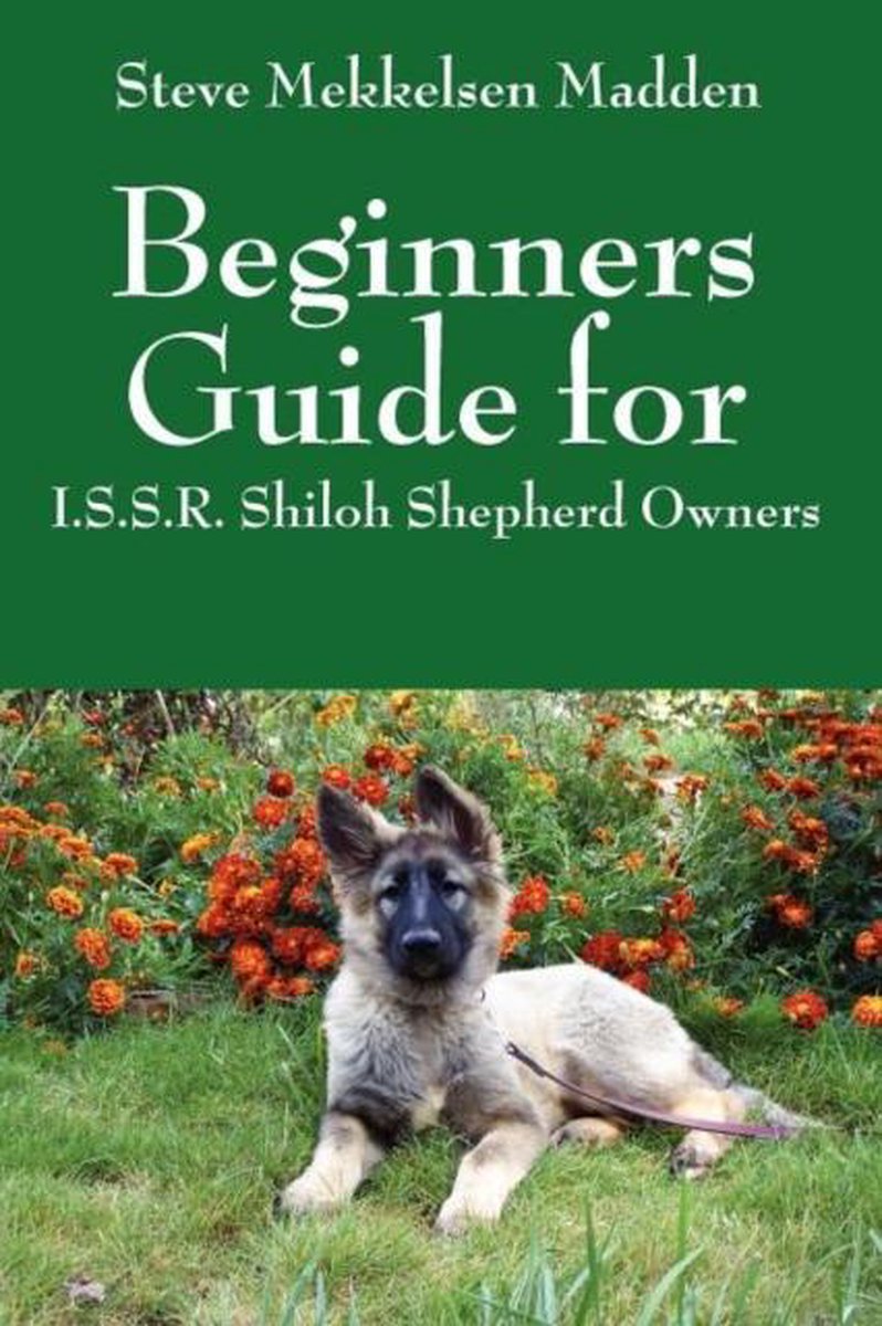 Beginners Guide for