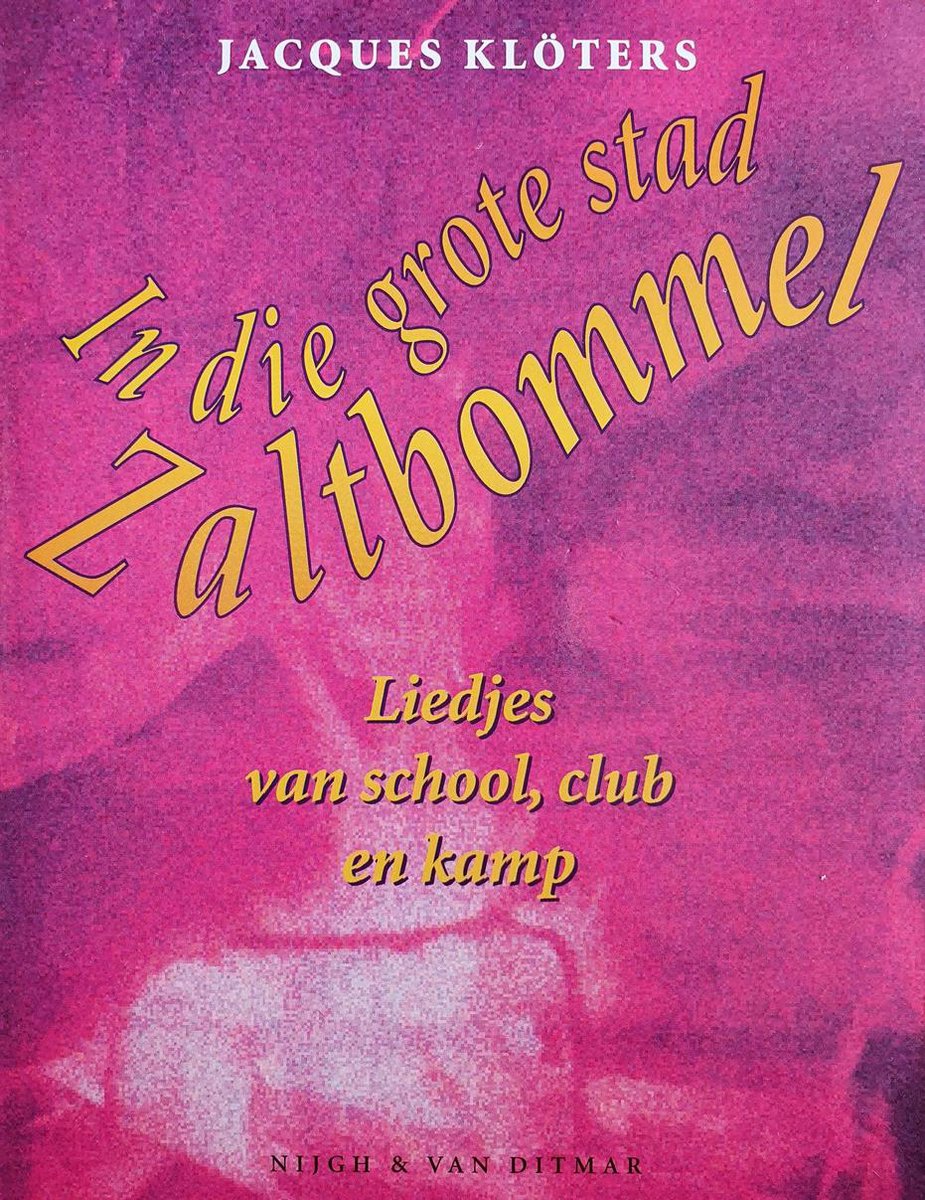 boekenbalie_9789038840178_cover IN DIE GROTE STAD ZALTBOMMEL (+CDROM)