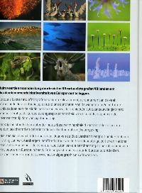 Wild wonders achterkant