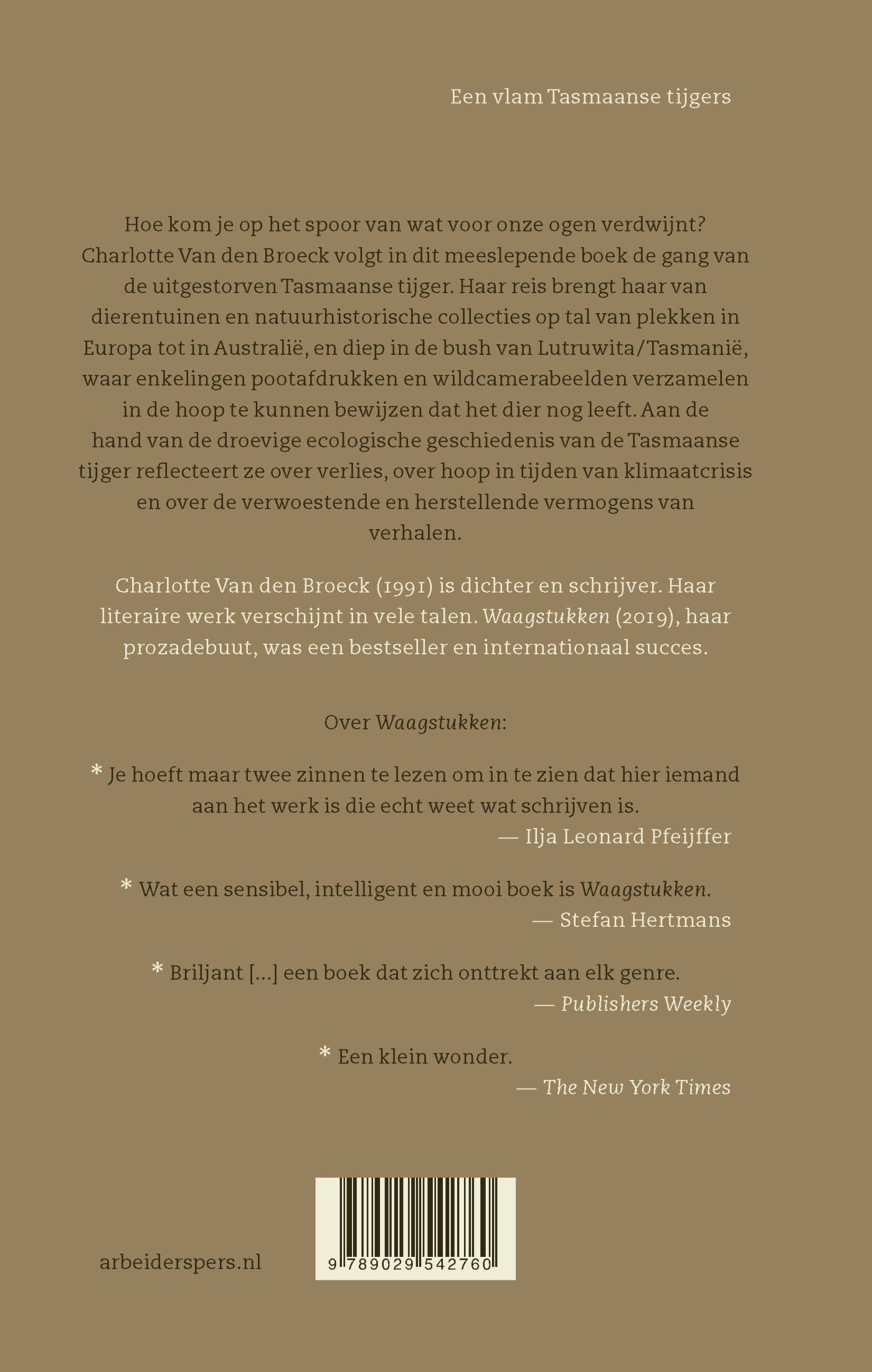 Een vlam Tasmaanse tijgers achterkant