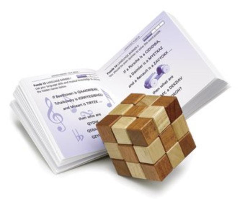 Brein boek-box achterkant