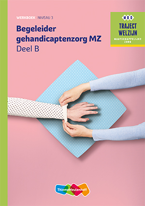 Traject Welzijn  - Begeleider gehandicaptenzorg MZ Niveau 3 Werkboek