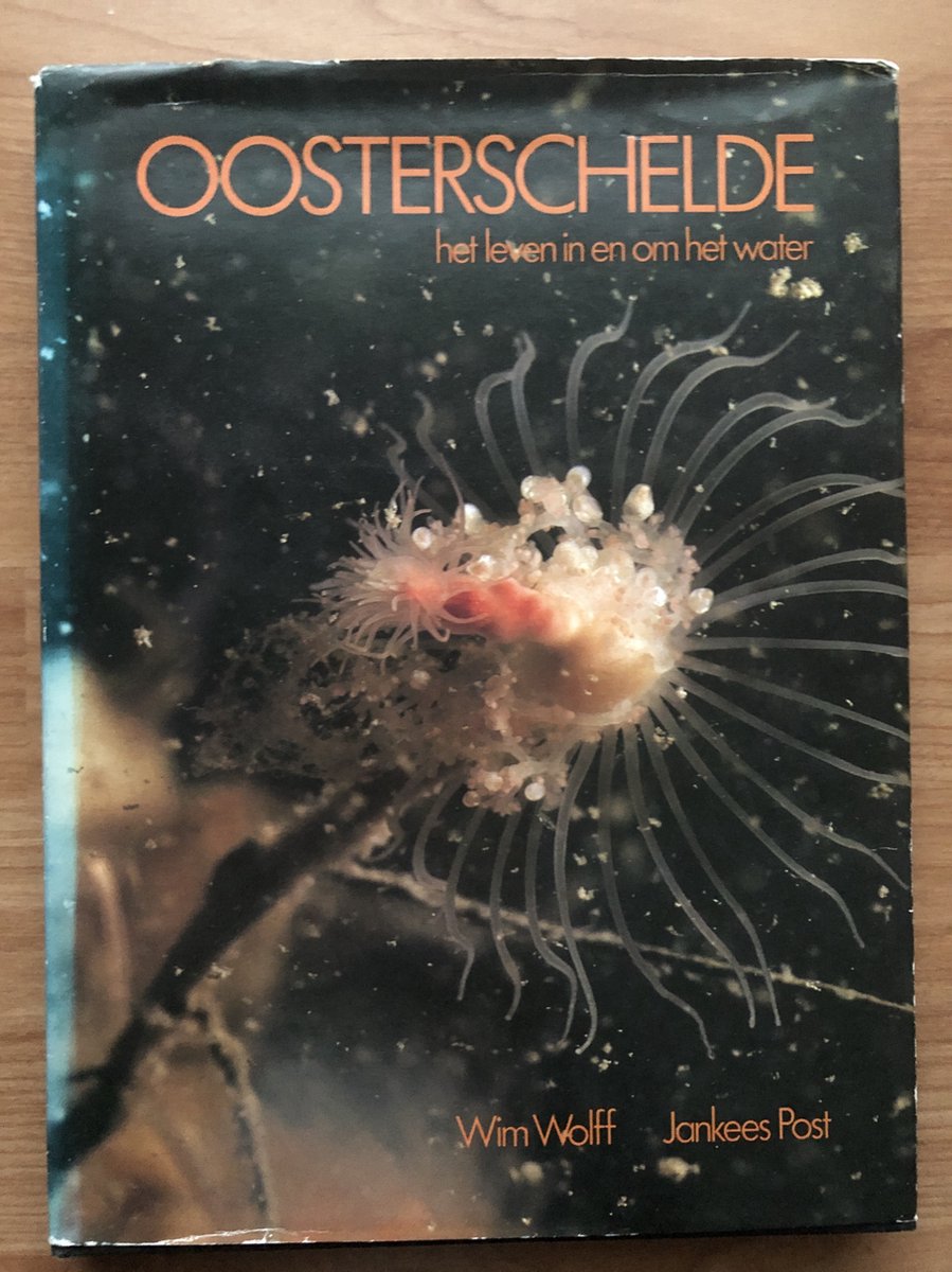 Phida Wolff Oosterschelde thumbnail