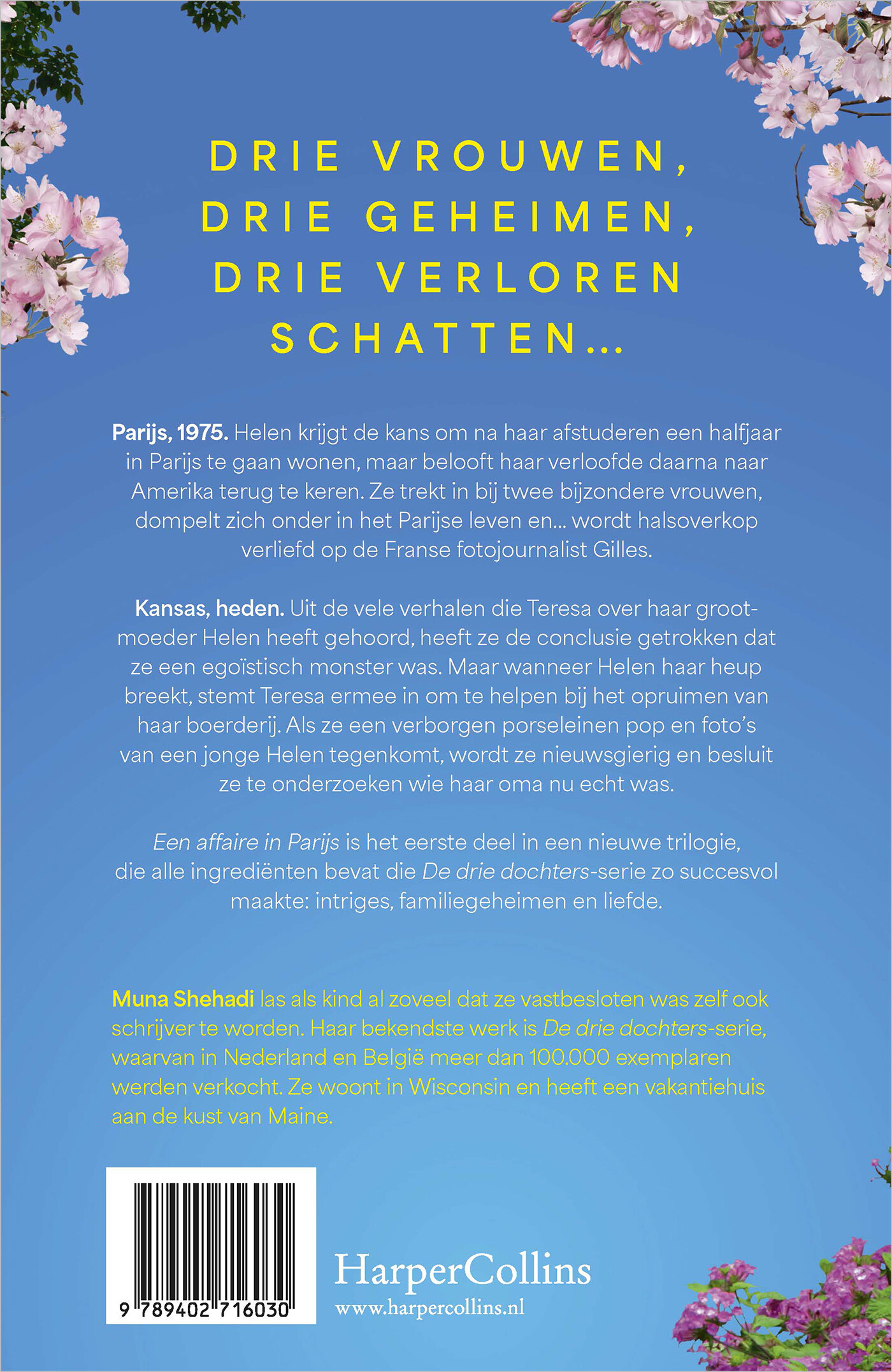 Een affaire in Parijs achterkant