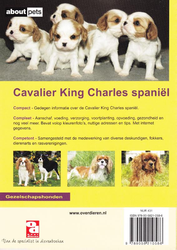 Over Dieren 60 - Cavalier King Charles Spaniel achterkant