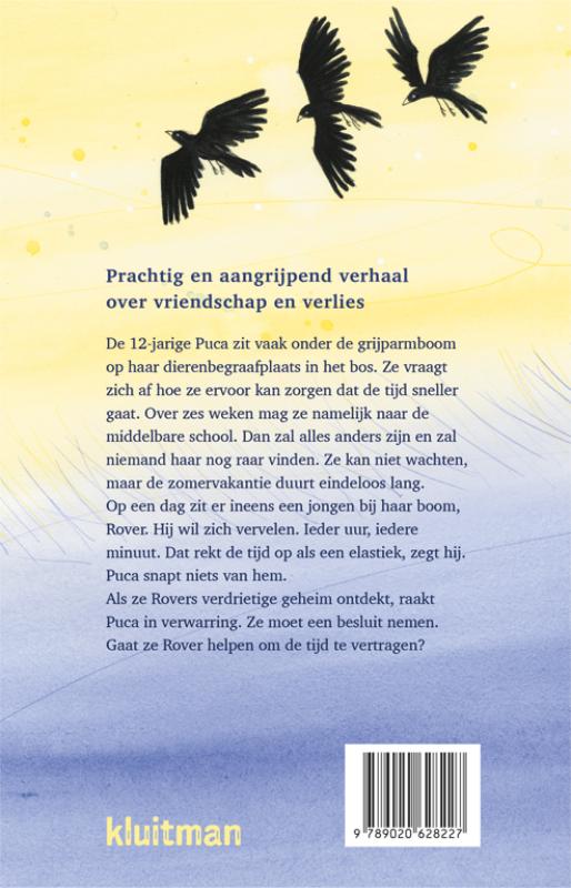 De zomer die alles was achterkant