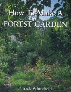 How to Make a Forest Garden