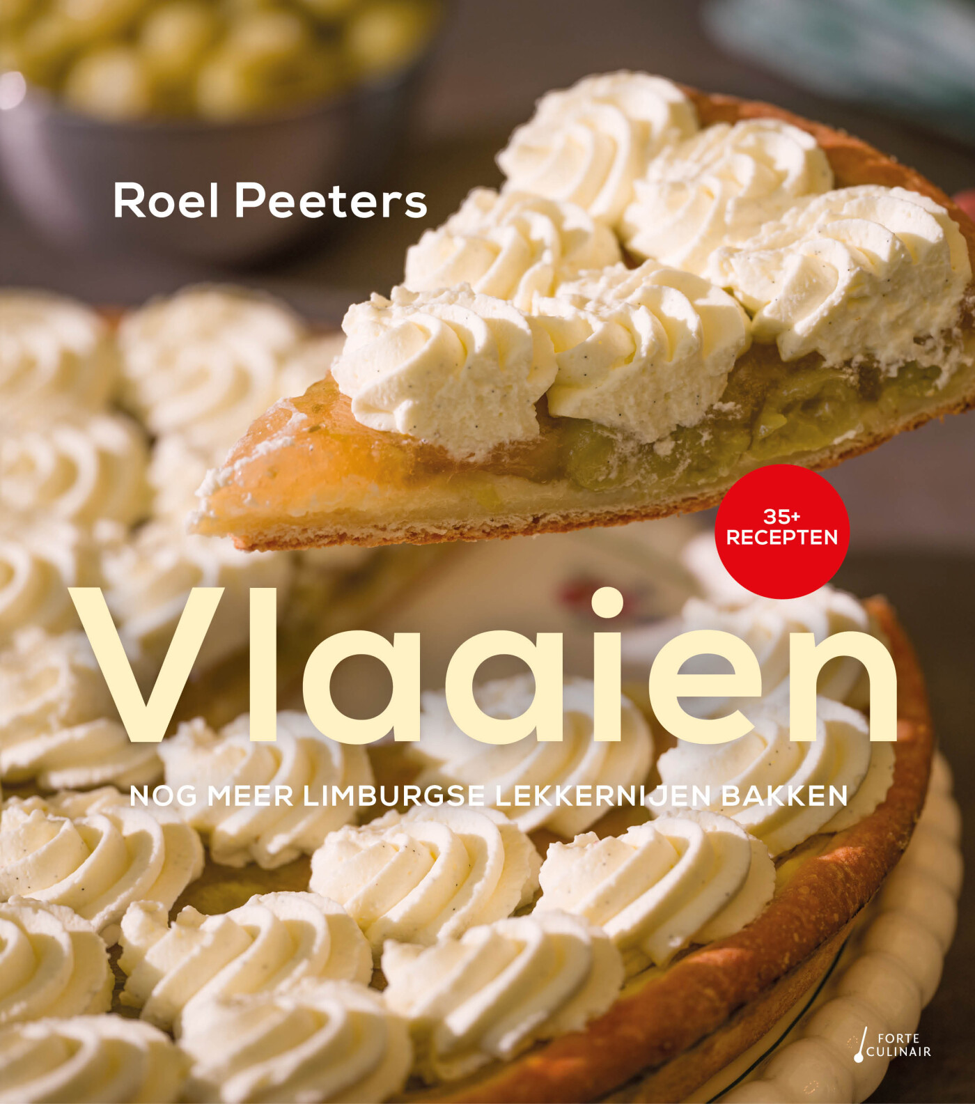 Vlaaien