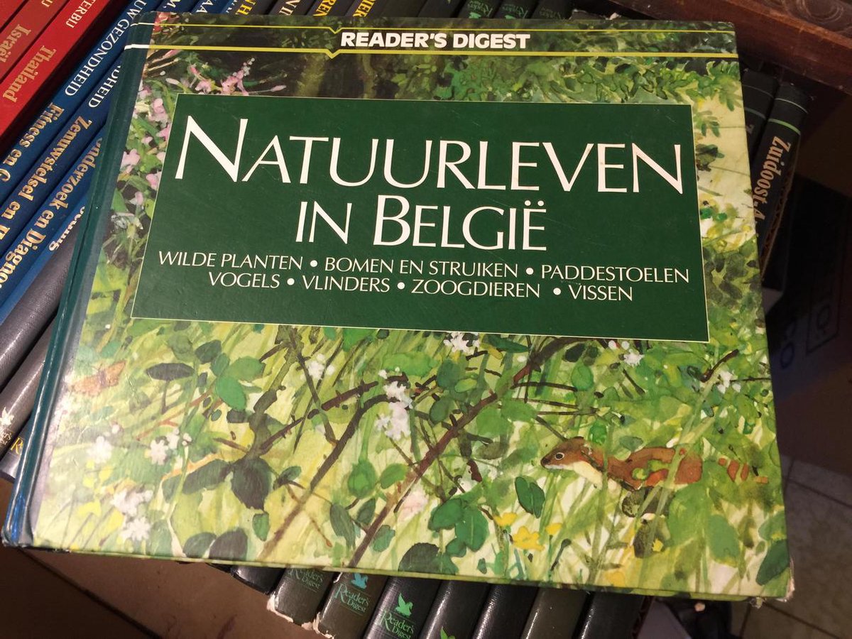 Natuurleven In Belgie