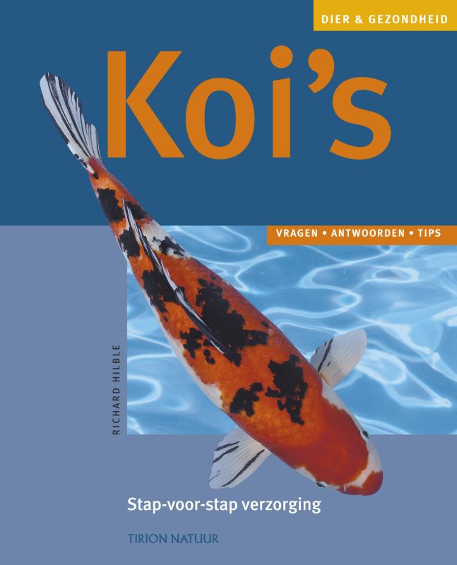Koi's