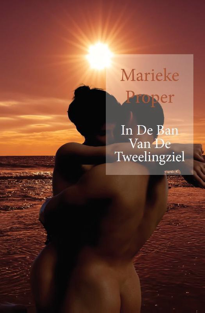 boekenbalie_9789463453813_cover In De Ban Van De Tweelingziel