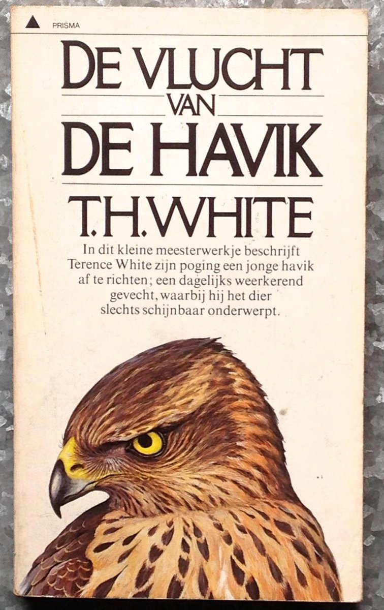 White Vlucht Van De Havik thumbnail