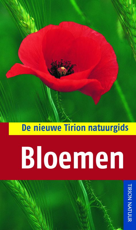 Bloemen