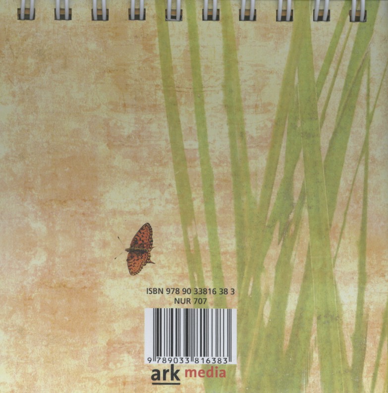 Leven in zijn handen Leven in zijn handen achterkant