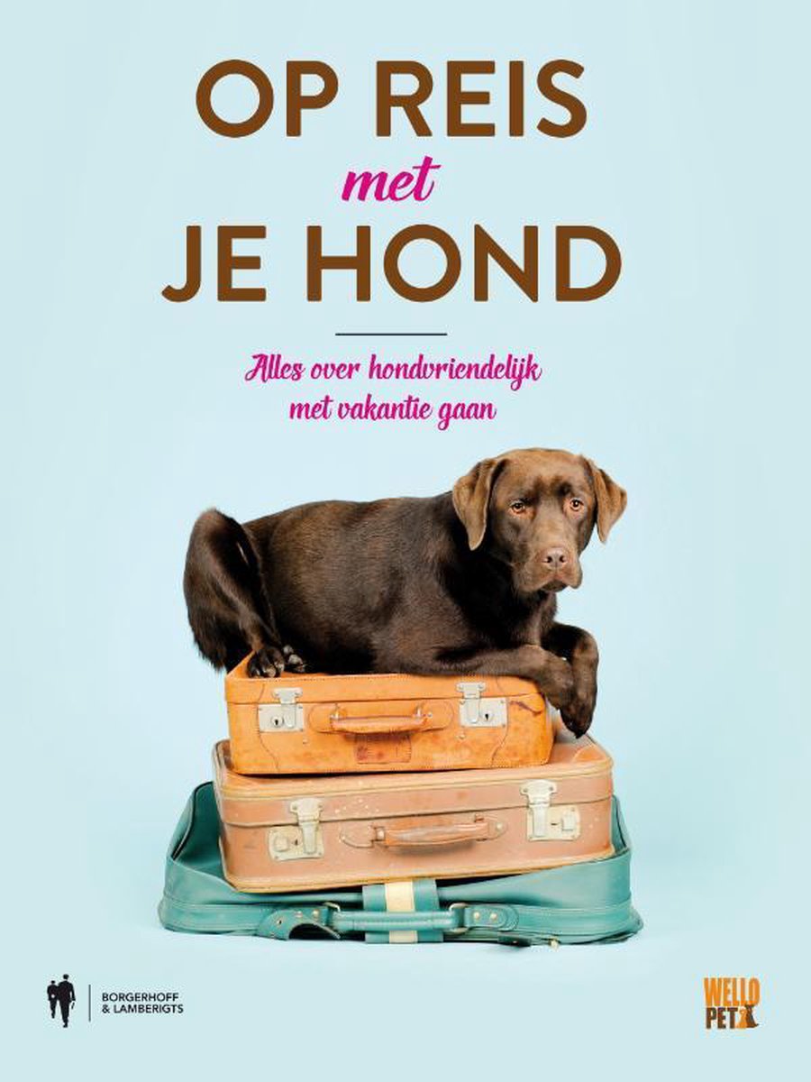 Op reis met je hond