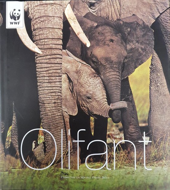 Christine Denis-Huot Olifant thumbnail