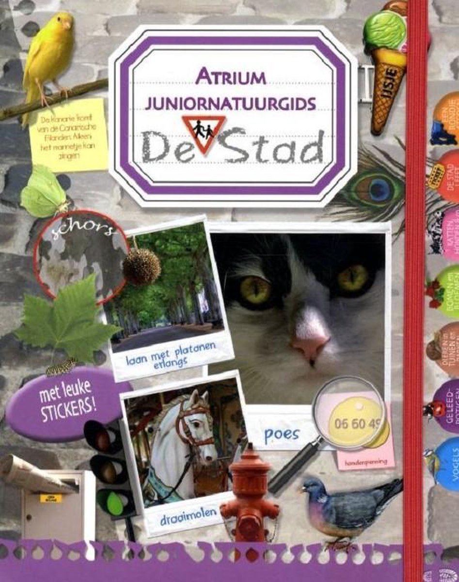 Kinderboeken Icob Natuur - Atrium juniornatuurgids: De stad
