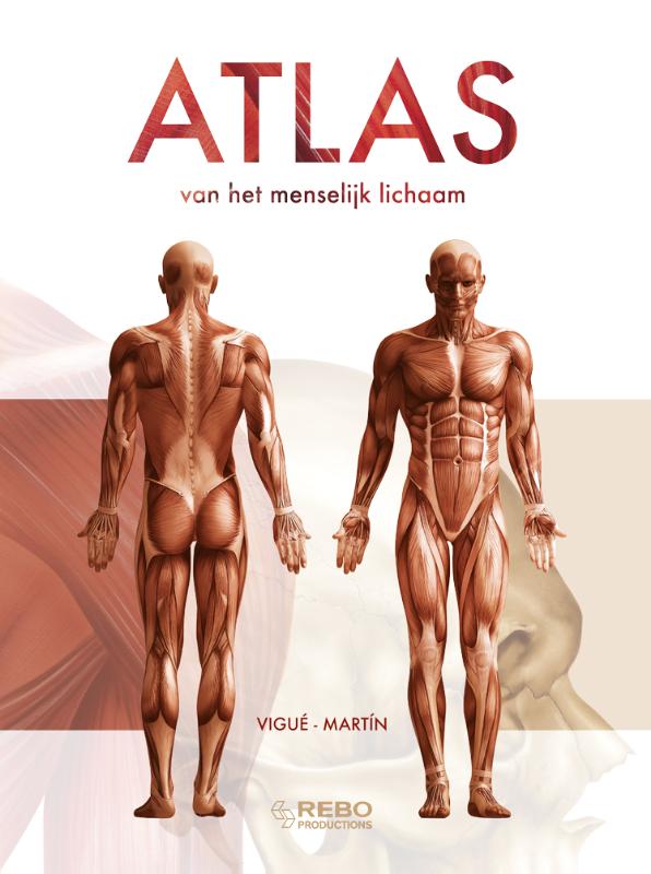Atlas Van Het Menselijk Lichaam thumbnail