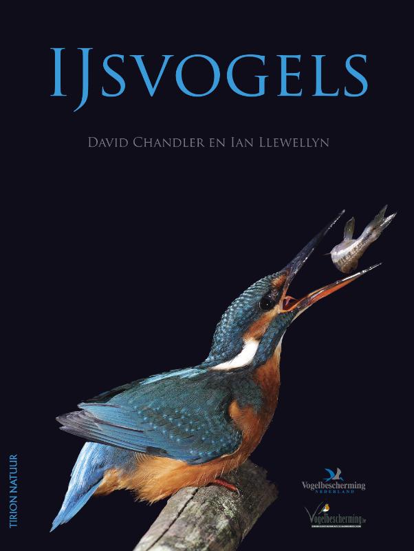 David Chandler IJsvogels thumbnail