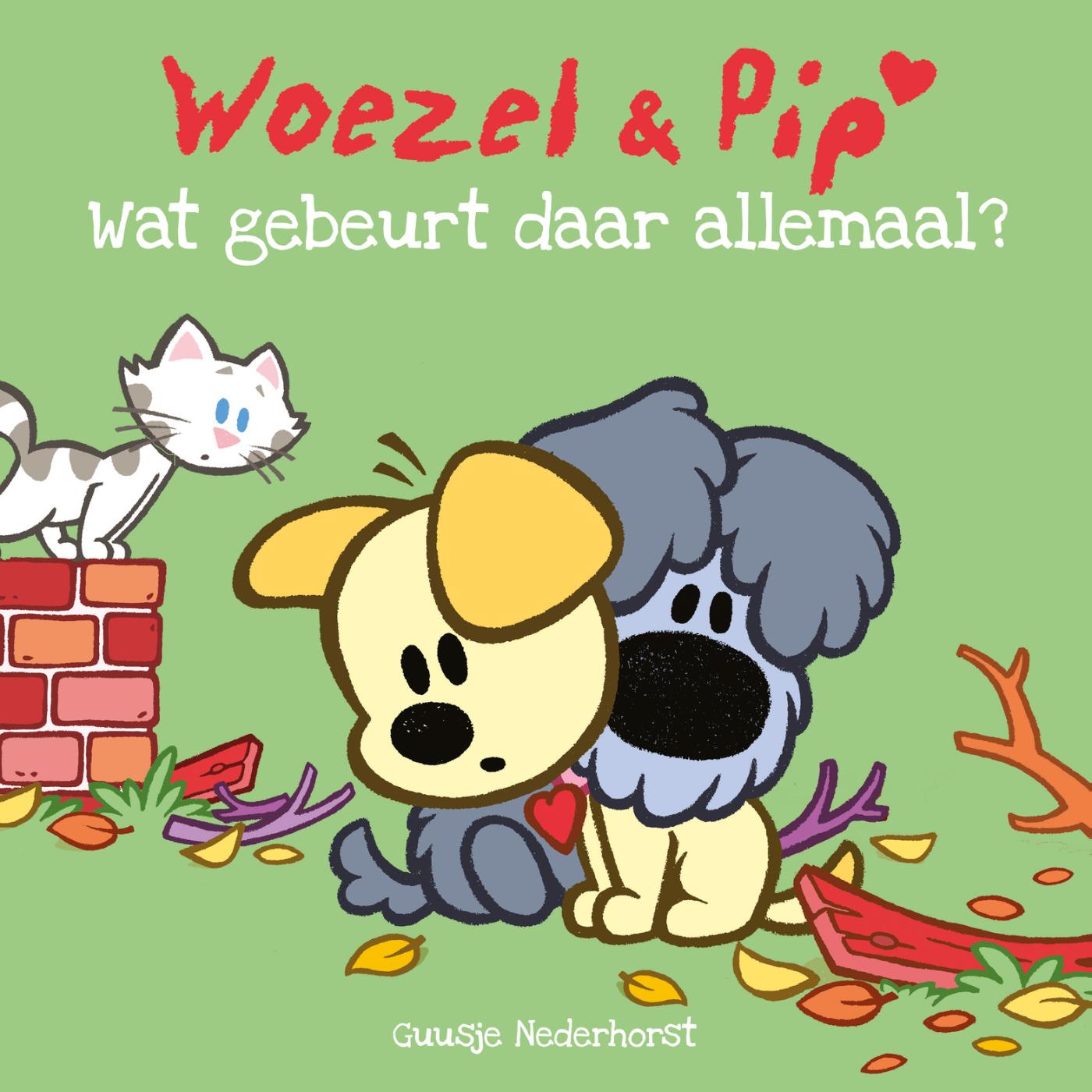 Woezel & Pip - Wat gebeurt er allemaal? - Prentenboek