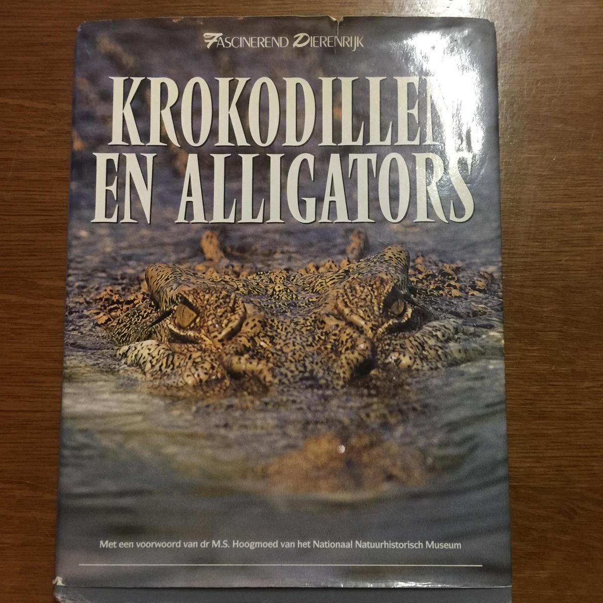 Krokodillen thumbnail
