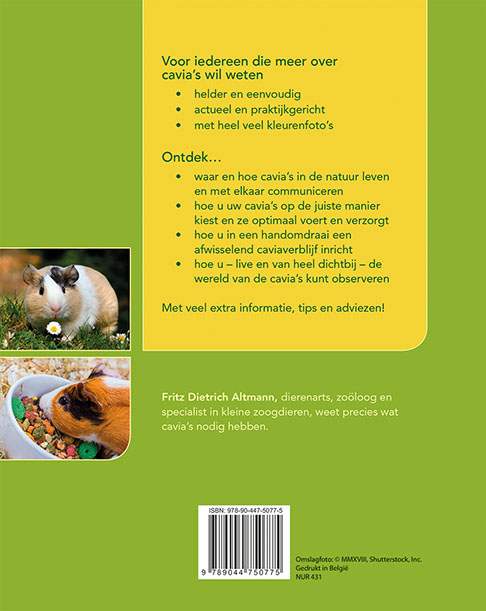 Cavia's houden achterkant