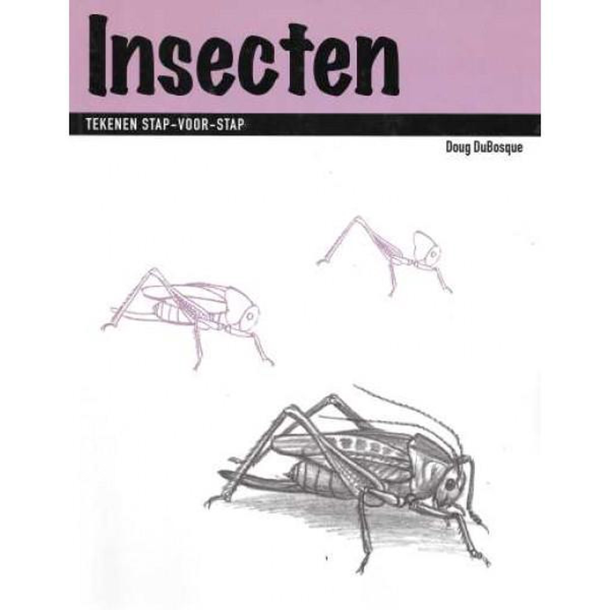 Insecten Tekenen stap-voor-stap
