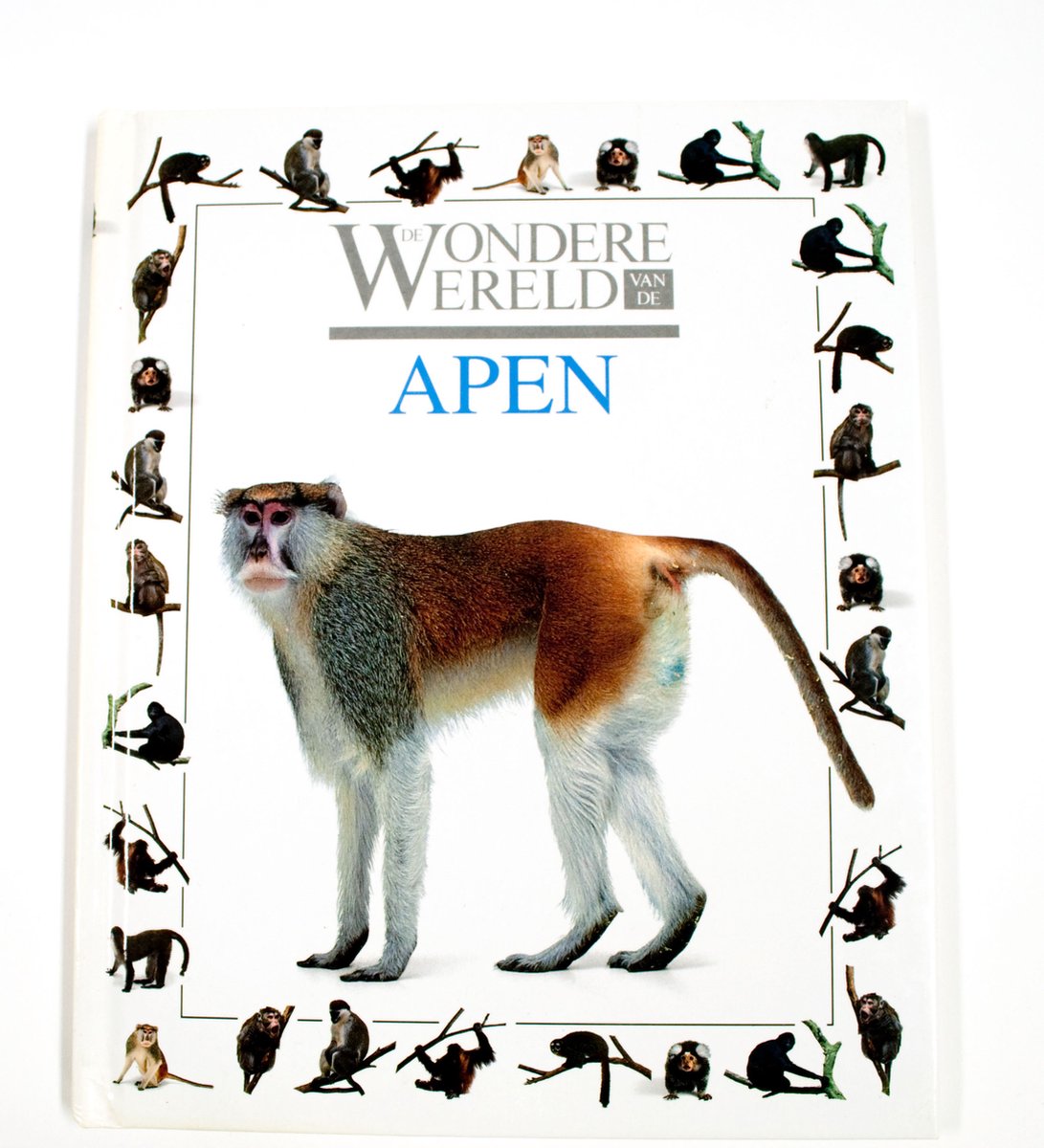 Wondere wereld van de apen