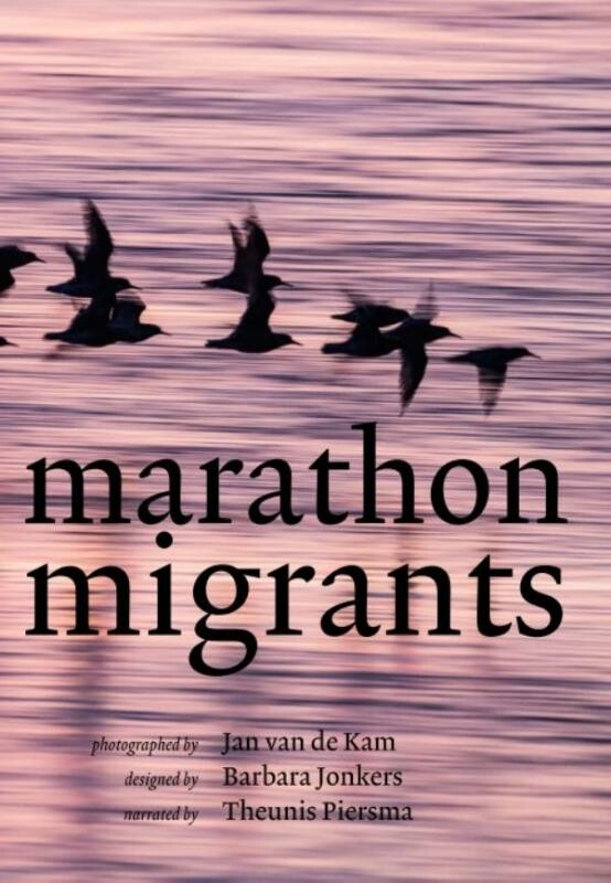 Theunis Piersma Marathon Migrants thumbnail