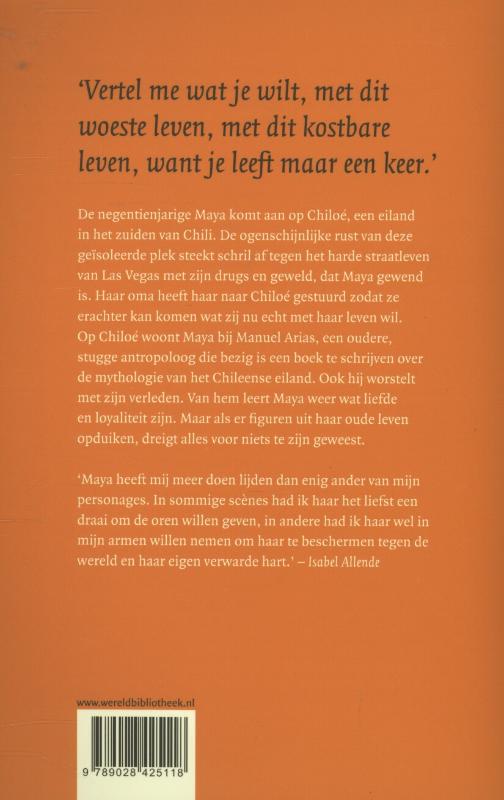 Het negende schrift van Maya achterkant