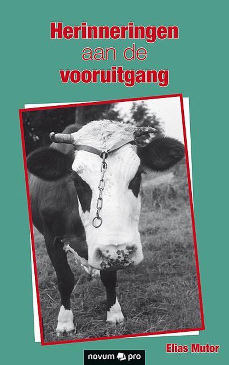 boekenbalie_9783990643099_cover Herinneringen aan de vooruitgang