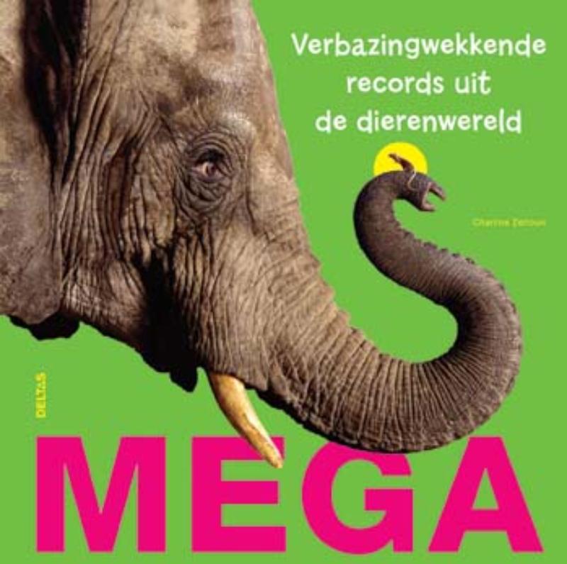 C. Zeitoun Mega thumbnail