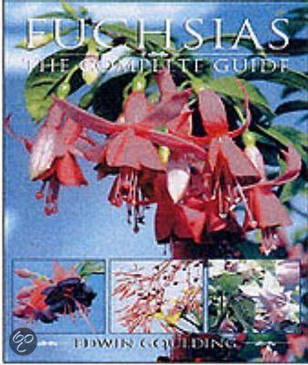 Fuchsias