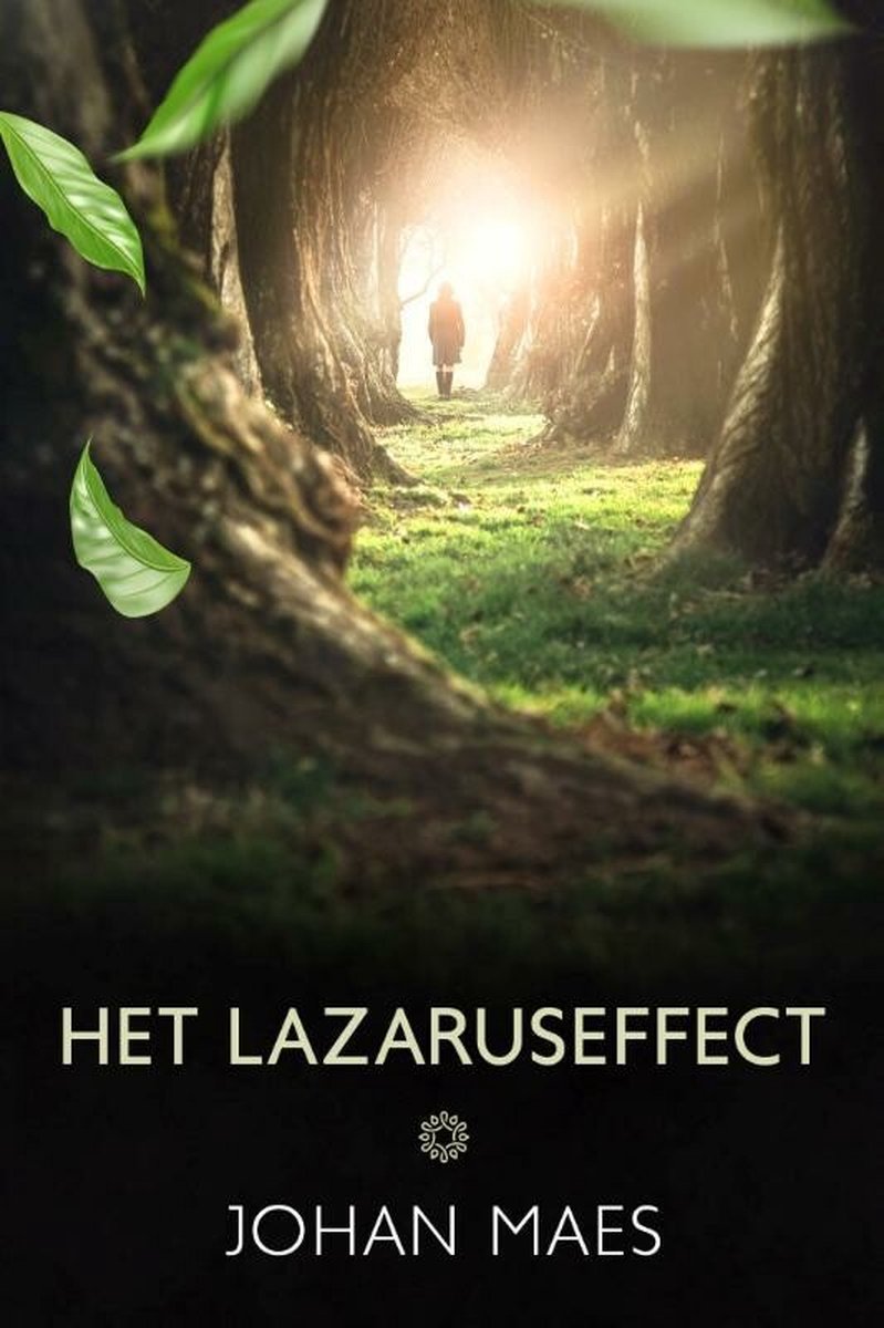 Johan Maes Het Lazaruseffect
