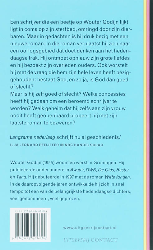 De dood van een auteur die een beetje op Wouter Godijn lijkt De dood van een auteur die een beetje op Wouter Godijn lijkt achterkant