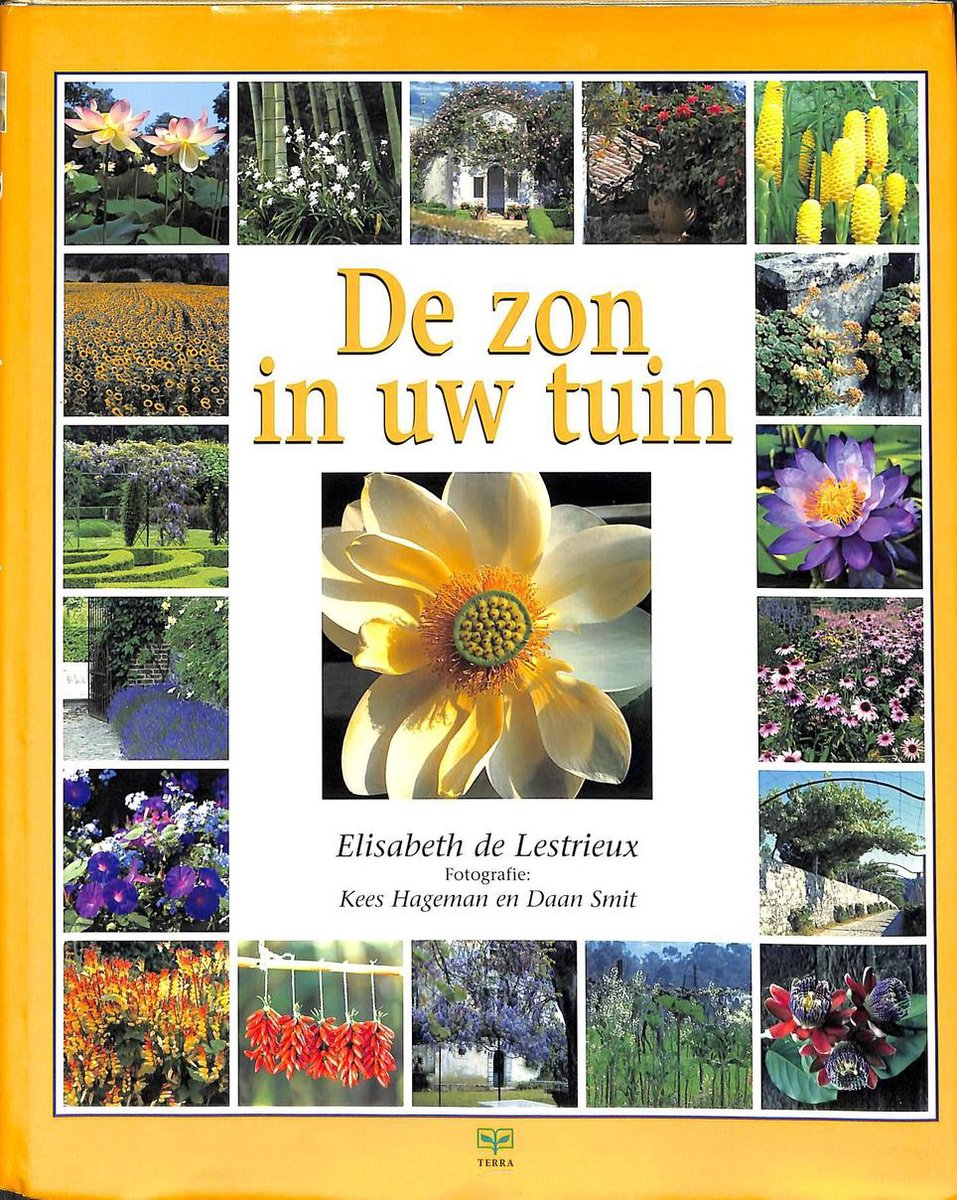 E. de Lestrieux Zon In Uw Tuin, De thumbnail