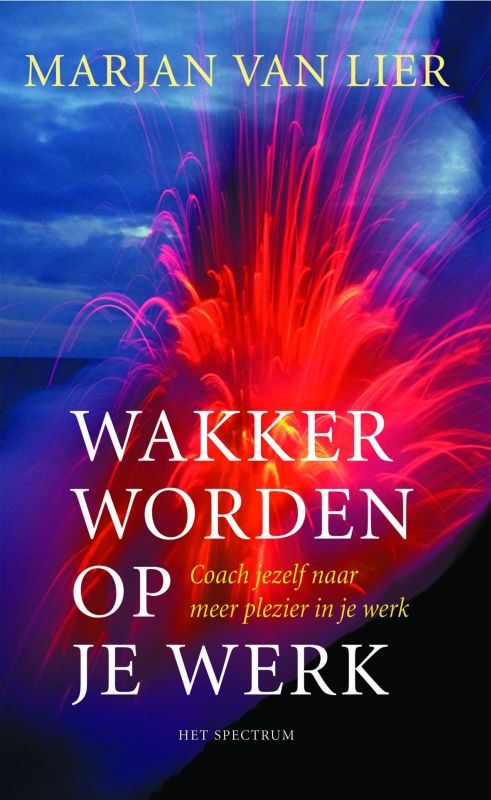 boekenbalie_9789027484635_cover Wakker Worden Op Je Werk