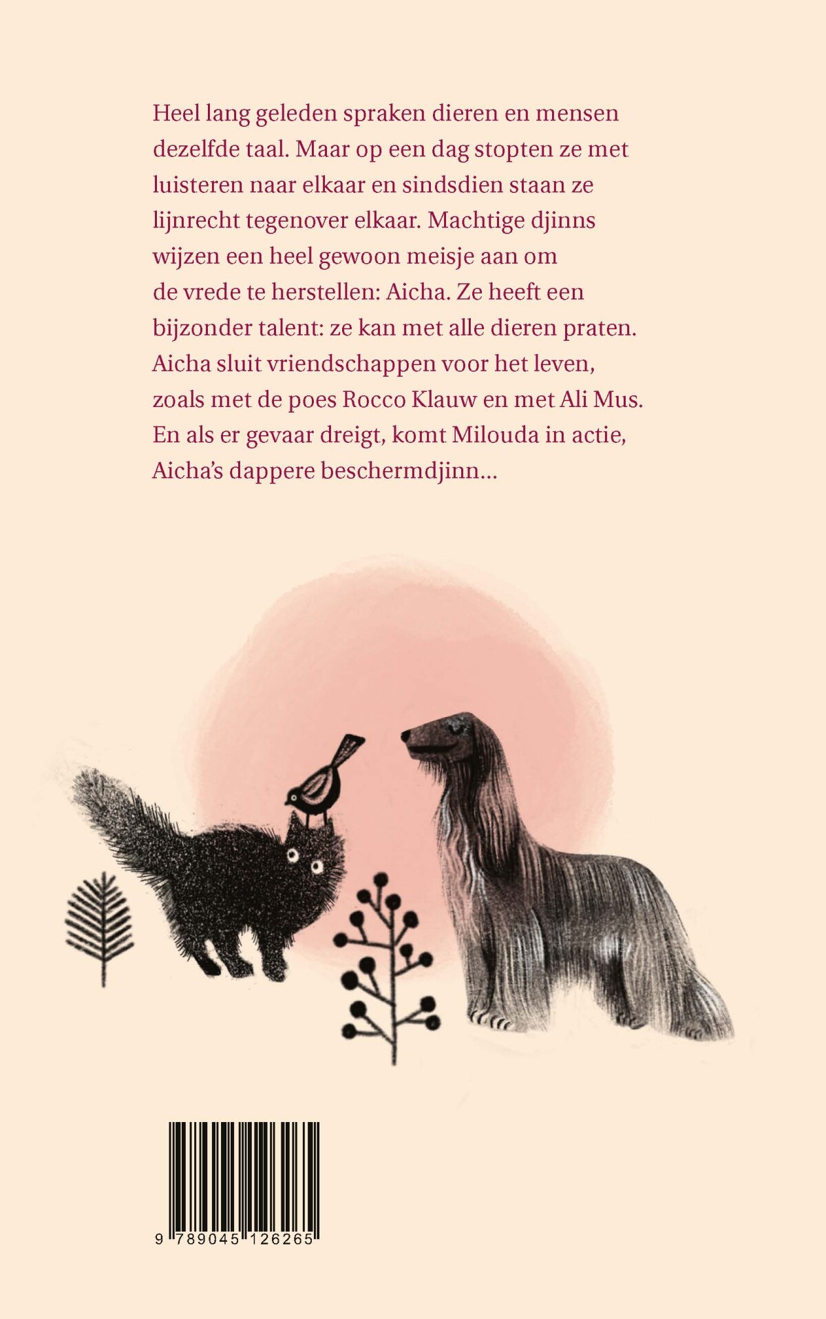 Aicha en de verloren taal achterkant