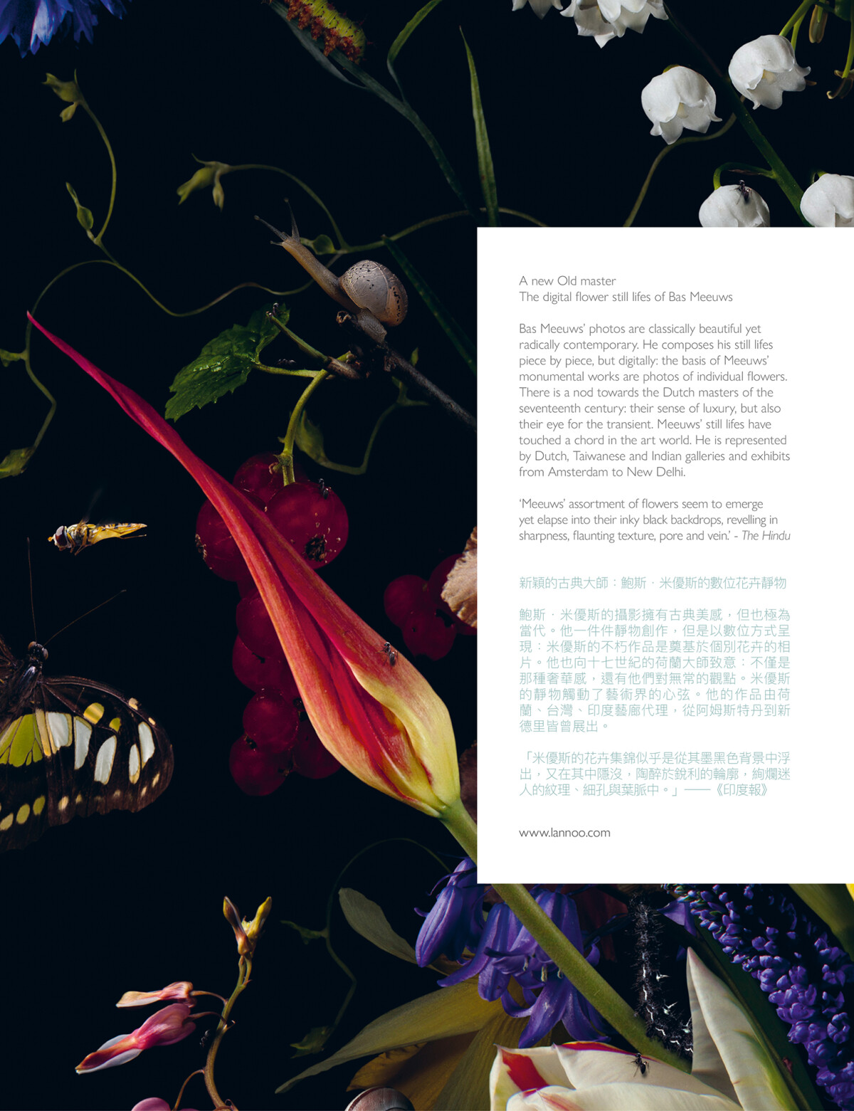 Bas Meeuws achterkant