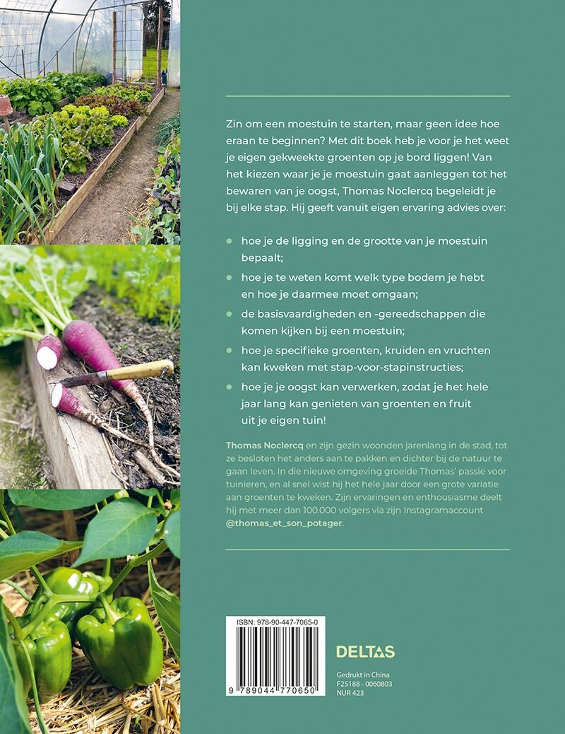 Beginnen met een moestuin achterkant