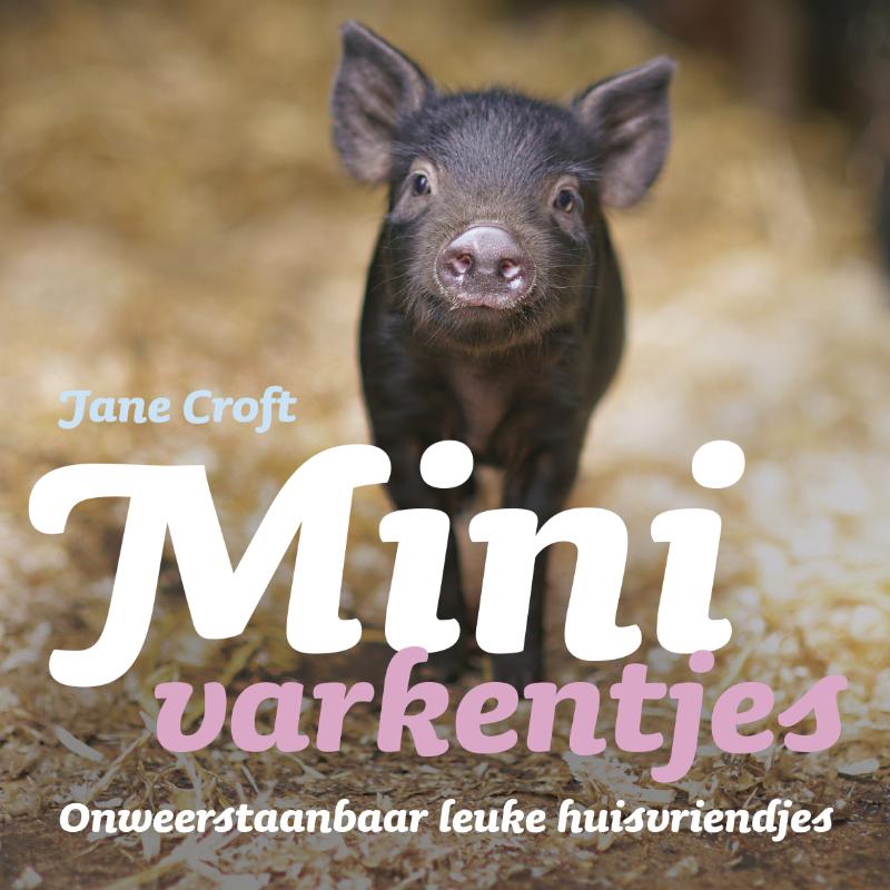 Croft Minivarkentjes / Katten thumbnail