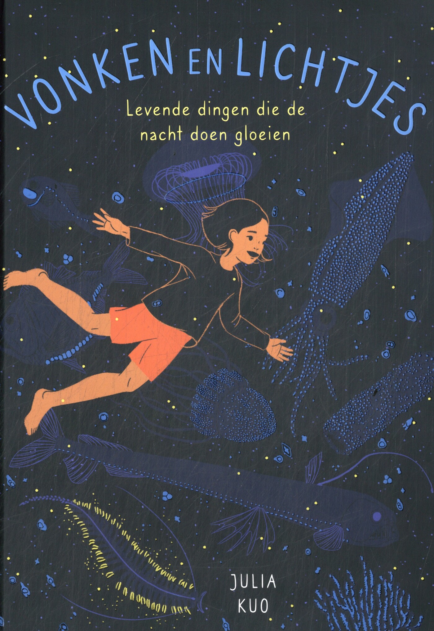 Vonken en lichtjes