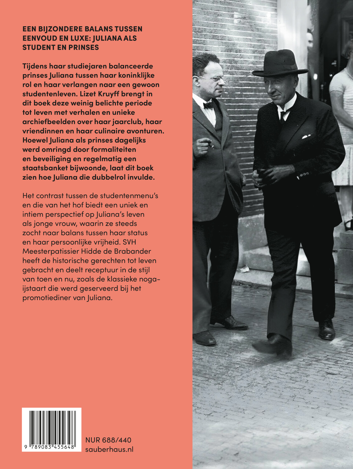 Een taart voor de prinses achterkant