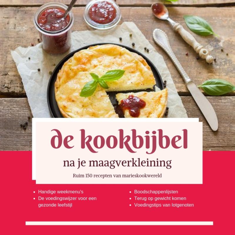 boekenbalie_9789090318097_cover de Kookbijbel na je maagverkleining